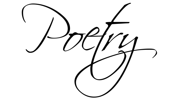 Poetry in translation, Brookline Village Library